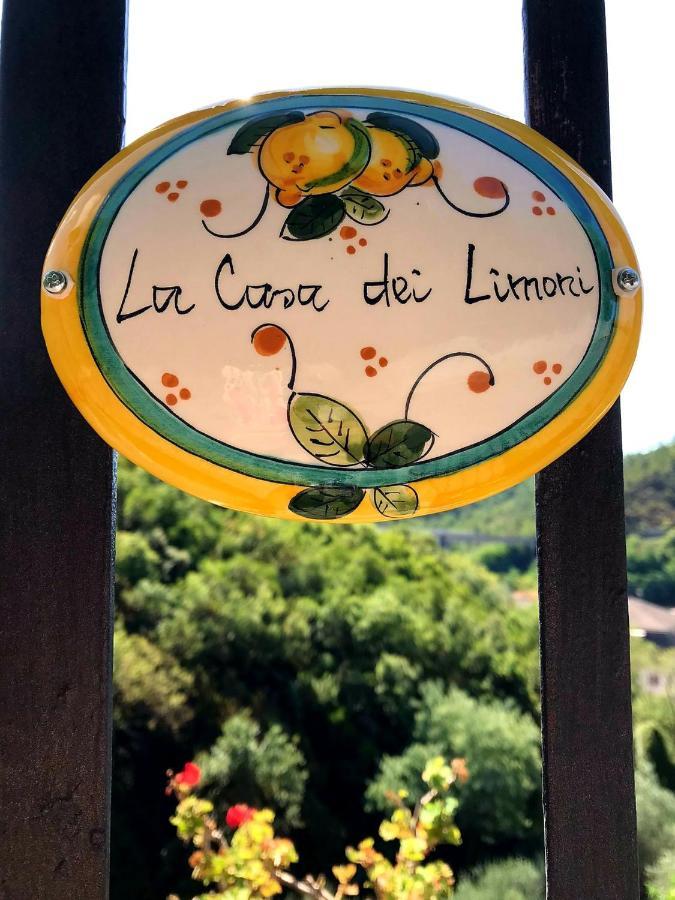 Apartmán La Casa Dei Limoni Casarza Ligure Exteriér fotografie